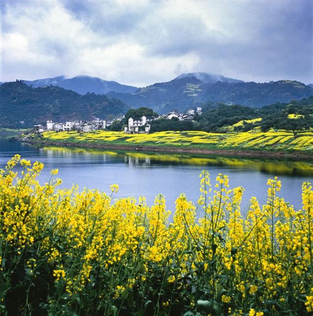 全国首创！三方共建乡村振兴金融创新示范区落户四川